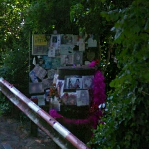 Marc Bolan Memorial In Crash Site In Marc Bolan Memorial In Crash Site In