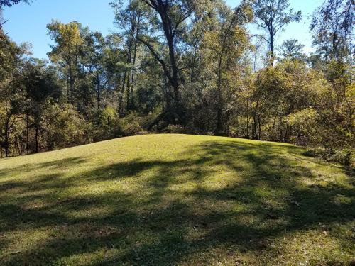 Ocmulgee Mounds: Decoding Ancient Earth Maps of the Mississippian Heart Ocmulgee Mounds: Decoding Ancient Earth Maps of the Mississippian Heart