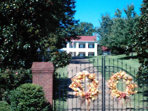 Dolly Parton's House