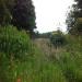The overgrown entrance to the graveyard.