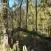 Ocmulgee Indian Mounds : kkeps's pic