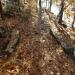 Sope Creek Ruins : kkeps's pic