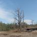 Arabia Mountain : kkeps's pic