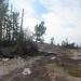 Arabia Mountain : kkeps's pic