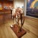 Booth Western Art Museum : kkeps's pic