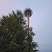 Seattle Space Needle : kkeps's pic