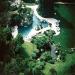 Playboy Mansion Pool