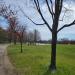 Constitution Gardens : kkeps's pic