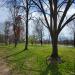 Constitution Gardens : kkeps's pic