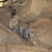 A photo taken of John Jones by those who attempted to rescue him from the crevice he was trapped in.