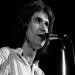Ray Davies