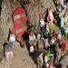 The Holly Hill Gnome Tree : tallturtle82's pic