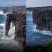 Holei Sea Arch (collapsed) : hhgygy's pic