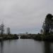 Lake Merritt bird sanctuary - the oldest in the US