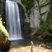 Looking Glass Falls
