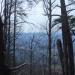 Cloudland Canyon State Park : kkeps's pic