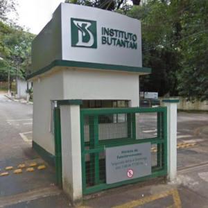Instituto Butantan (StreetView)