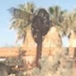 'Joshua Tree National Park GeoKinetic' by Steven L. Rieman