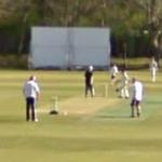 Cricket training (StreetView)