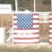 Stars and Stripes