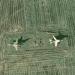 Second private plane exhibition in Olchowa