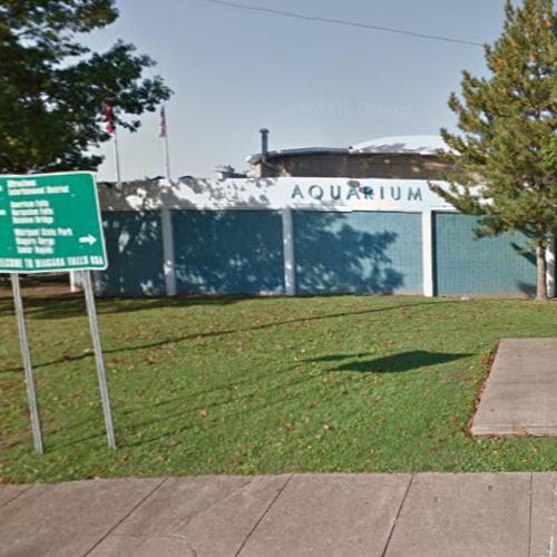 Aquarium of Niagara in Niagara Falls, NY Virtual Globetrotting