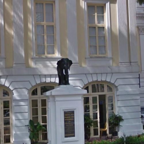 Bronze elephant statue in Singapore, Singapore (Google Maps)