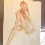 Pin-up calendar (StreetView)