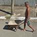 Man with a wheelbarrow