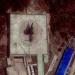 Radar Site