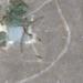 Radar Site