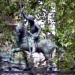 Saint George Slaying the Dragon - 14th century - replica