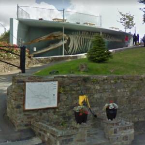 Kilbrittain Whale (StreetView)