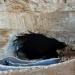 Entrance to Carlsbad Caverns