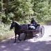Mennonite Horse Drawn Cart