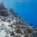 Google Maps Underwater (Klein Bonaire)