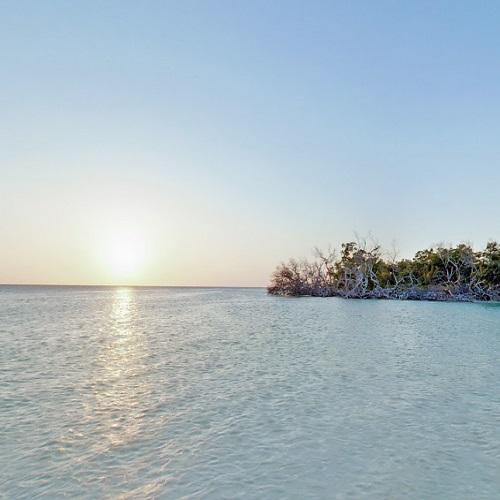 Keys mangroves and sunset in Key - Keys Mangroves And Sunset 
