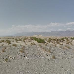 Mesquite Flat Sand Dunes ("Star Wars") (StreetView)