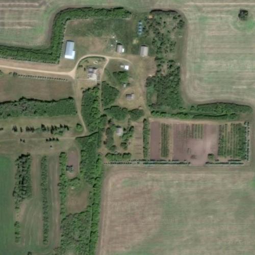 Seager Wheeler's Maple Grove Farm in Rosthern, Canada (Google Maps)