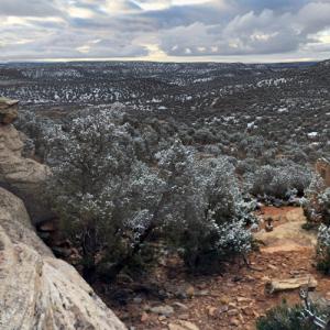 Canyons of the Ancients National Monument in Cortez, CO - Virtual