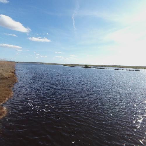 Puzzle Lake in Snow Hill, FL (Google Maps)