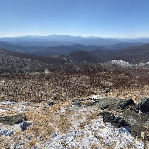 View from Roan Mountain in Spruce Pine, NC (Google Maps)