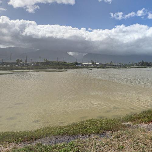 Kanaha Pond State Wildlife Sanctuary in Kahului, HI (Google Maps)