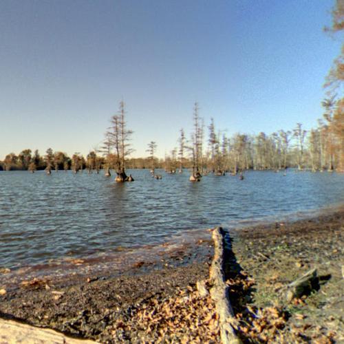 Horseshoe Lake (Alexander County, Illinois) in Cairo, IL (Google Maps)