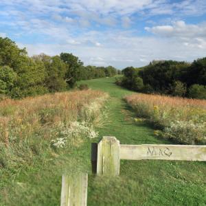Mississippi Palisades State Park in Savanna, IL - Virtual Globetrotting