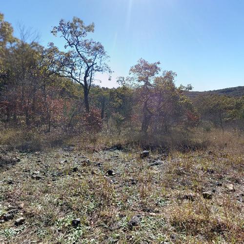 Onondaga Cave State Park in Leasburg, MO (Google Maps)