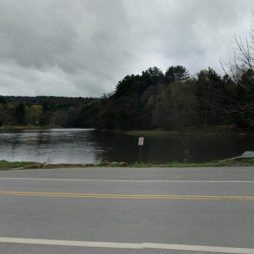 Cook Forest State Park in Farmington Township, PA (Google Maps)