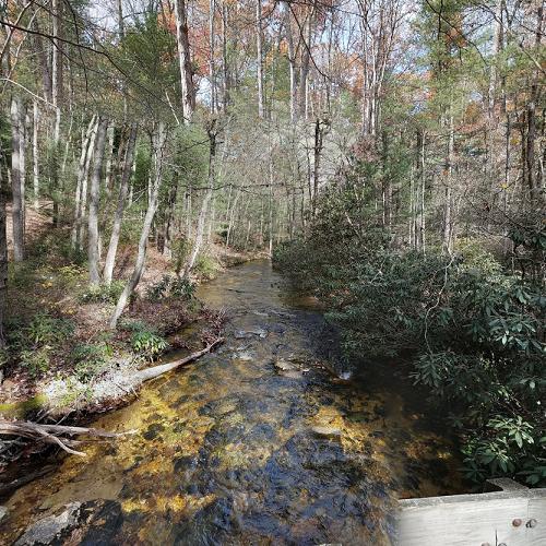 Michaux State Forest Cabins For Sale Michaux State Forest Vacation Rentals Homes Menallen
