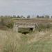 CGW - Concrete Bridge