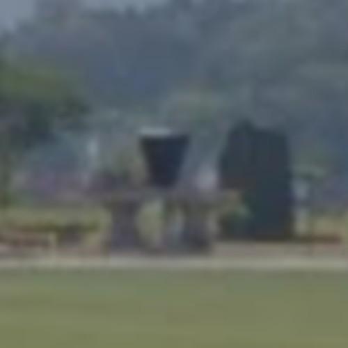 virtual globetrotting